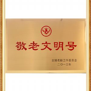 全國(guó)敬老文明號(hào)